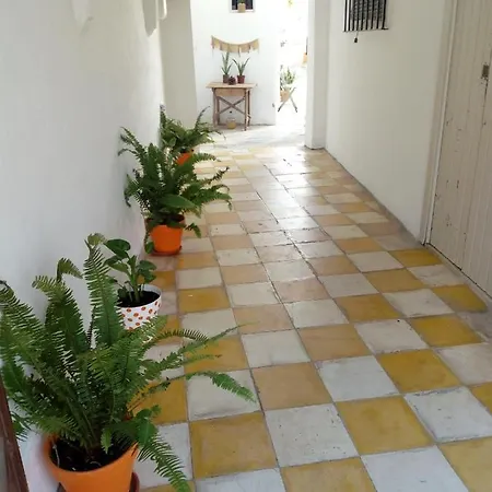 公寓 El Escondite De Vejer *